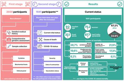 Mortality and survival in nonagenarians during the COVID-19 pandemic: Unstable equilibrium of aging